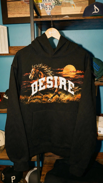 Renegade Appliqué Hoodie